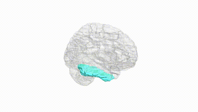 Hemisphere White