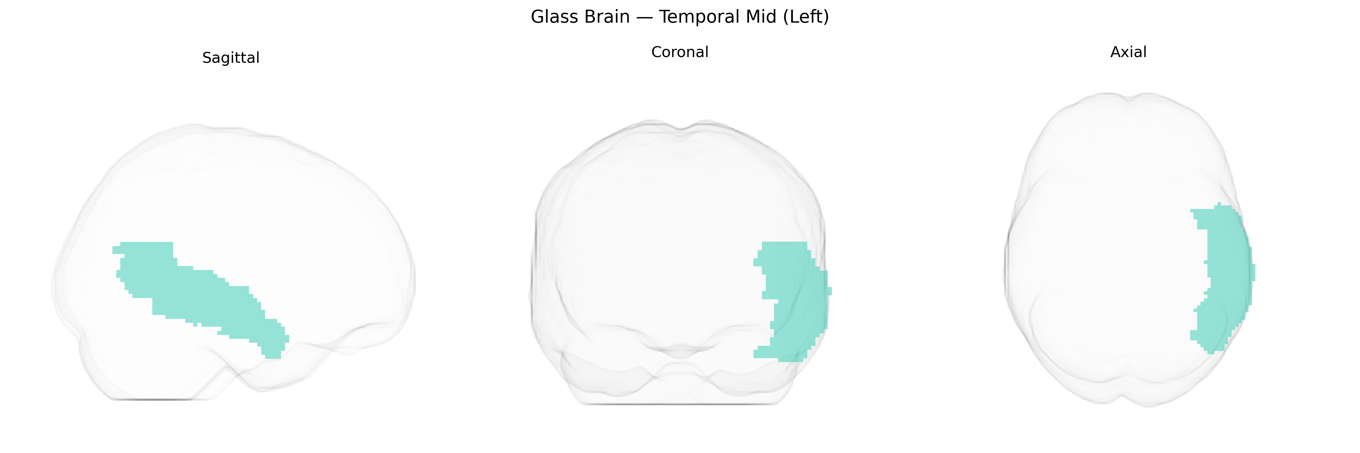 Triplanar Ghost Brain