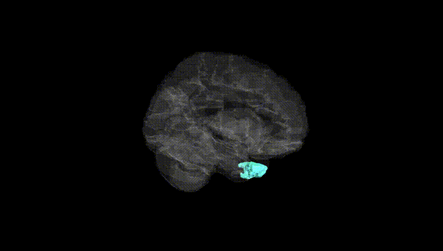 Hemisphere Black