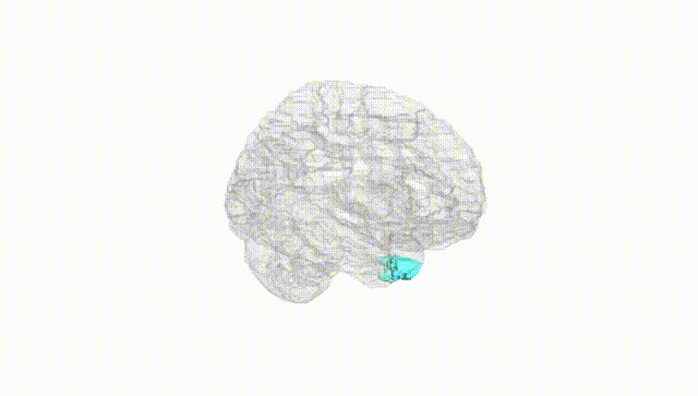 Hemisphere White