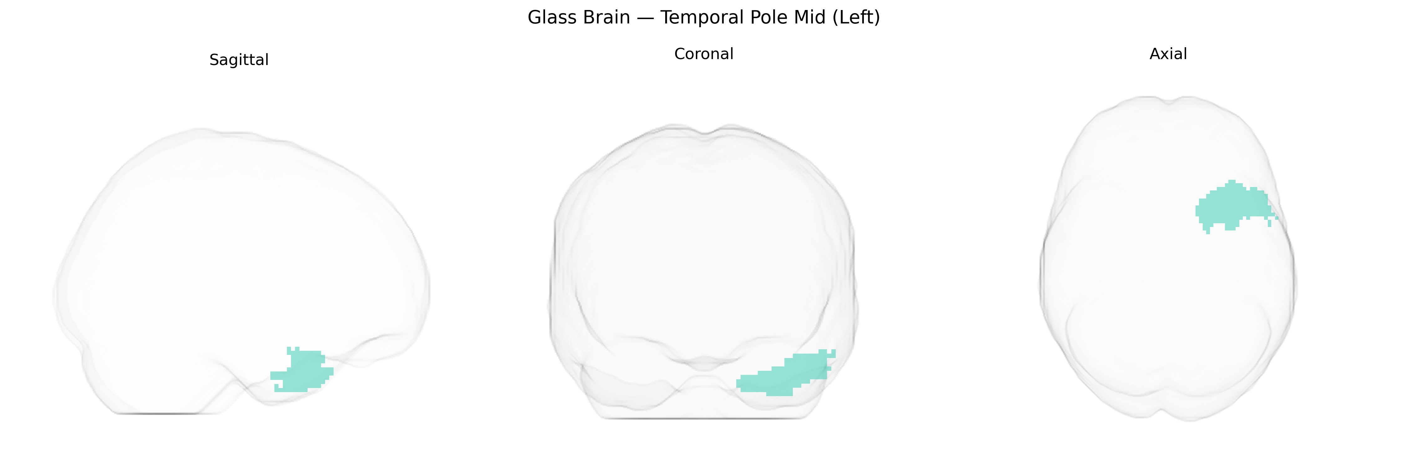 Triplanar Ghost Brain