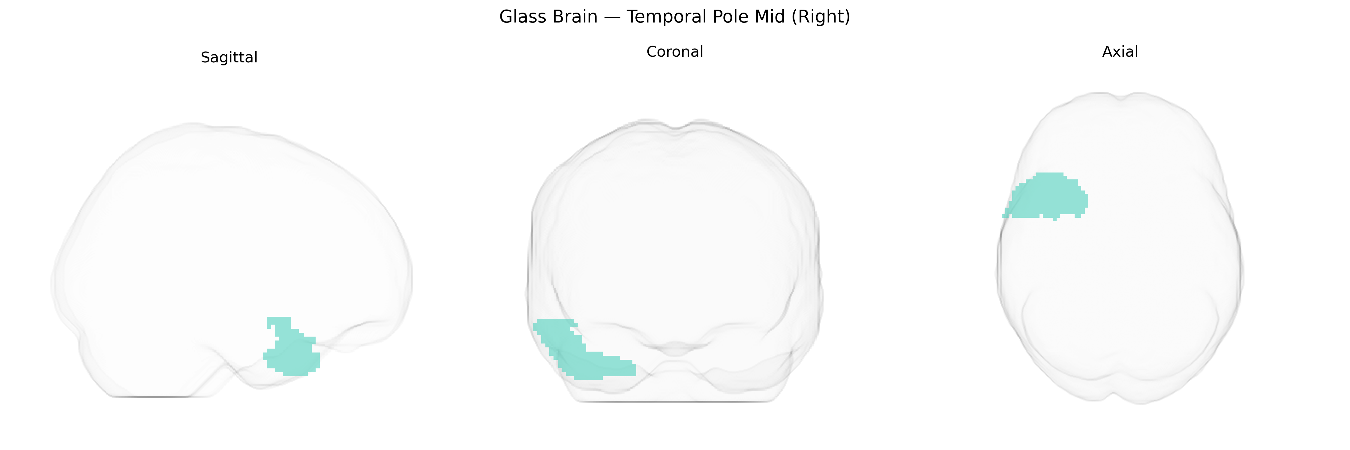 Triplanar Ghost Brain