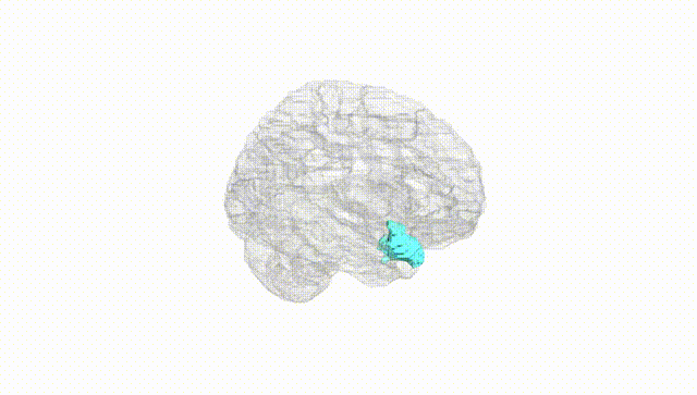 Hemisphere White