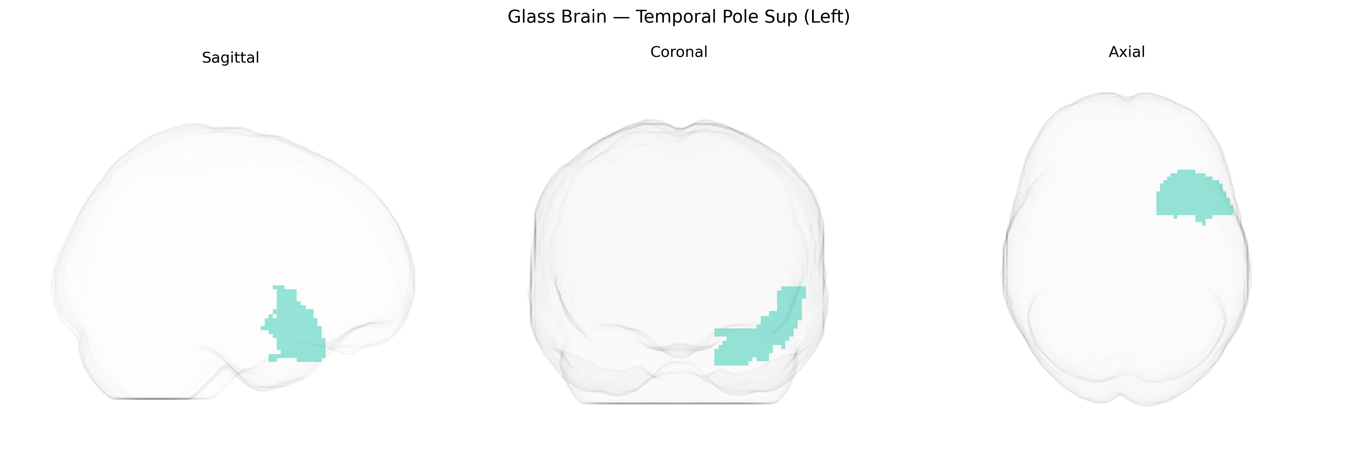 Triplanar Ghost Brain