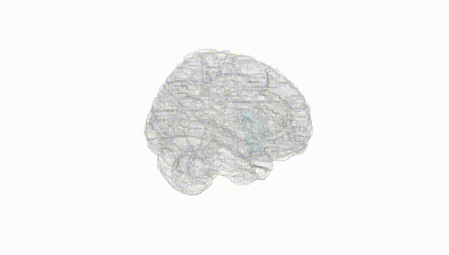 Full Brain White