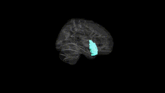 Hemisphere Black