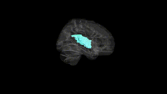 Hemisphere Black