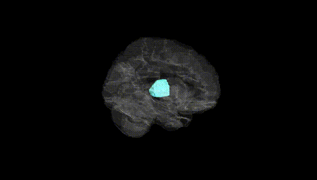 Hemisphere Black