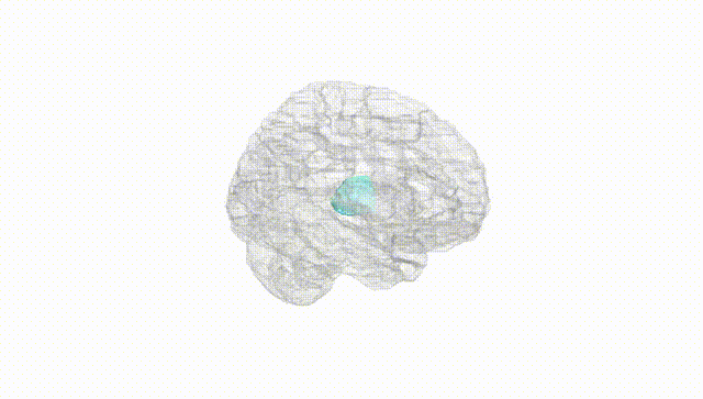 Hemisphere White