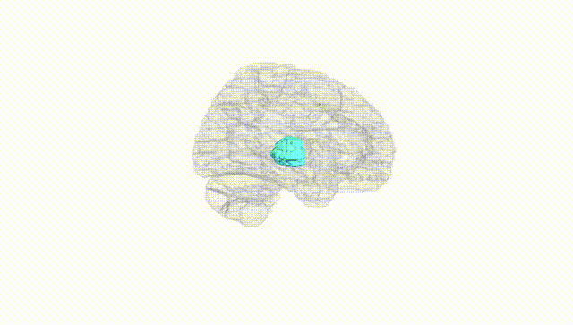 Hemisphere White