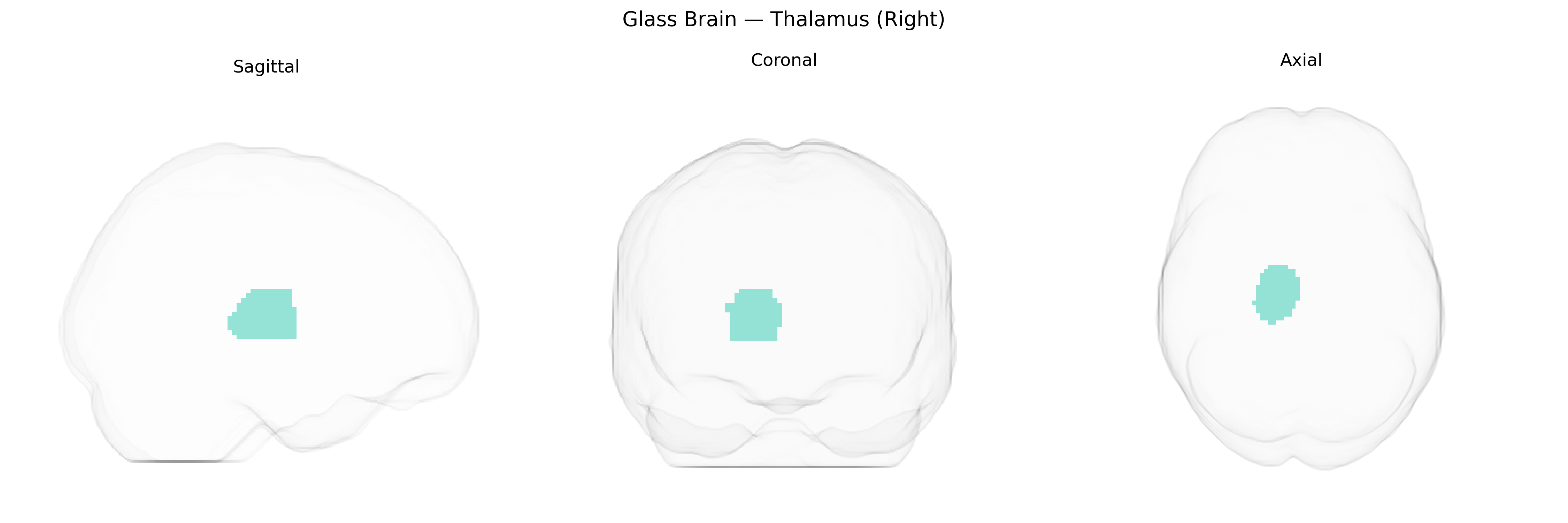 Triplanar Ghost Brain