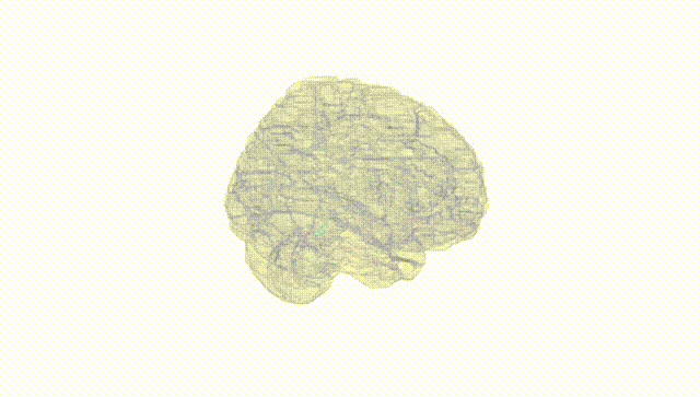 Full Brain White