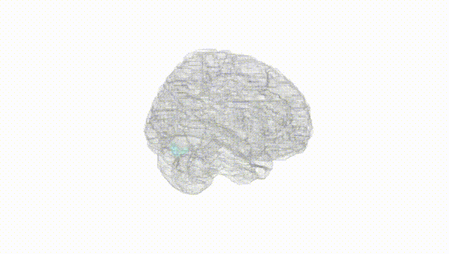 Full Brain White