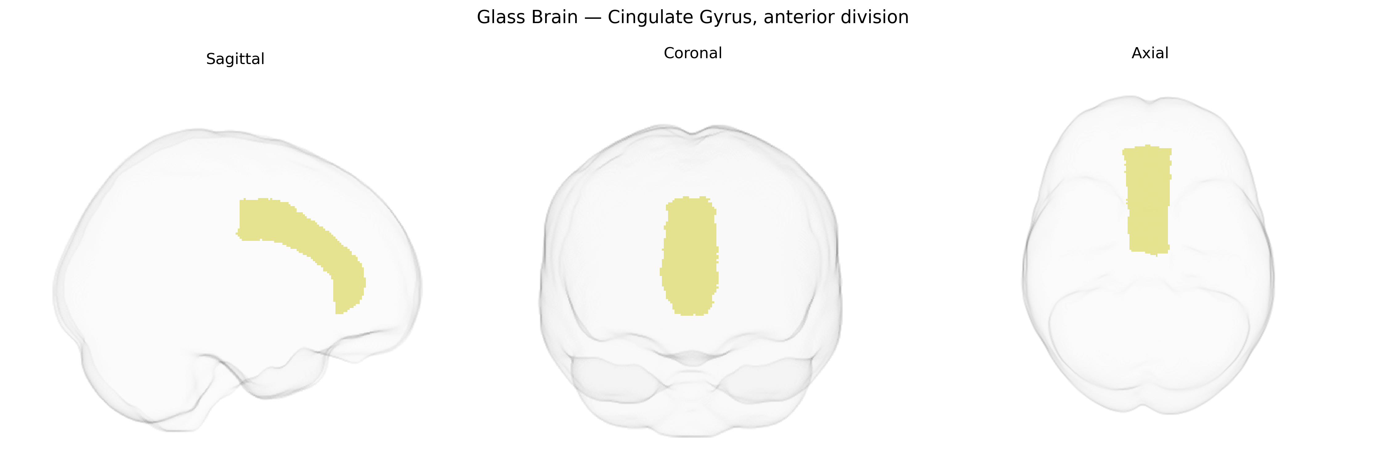 Triplanar Ghost Brain