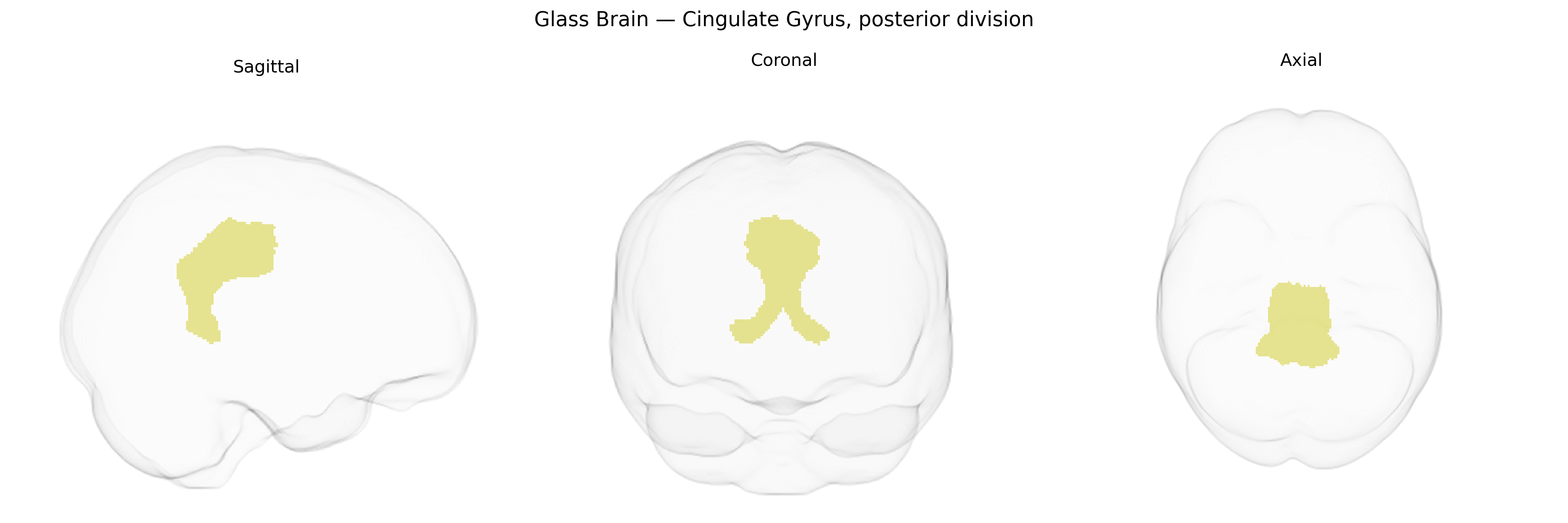 Triplanar Ghost Brain