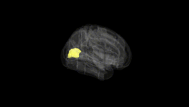 Full Brain Black