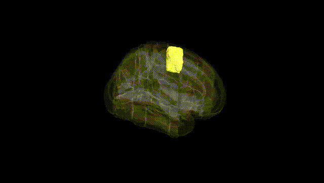 Full Brain Black