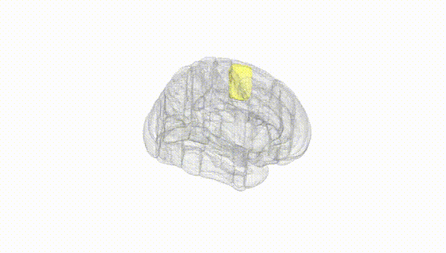 Full Brain White