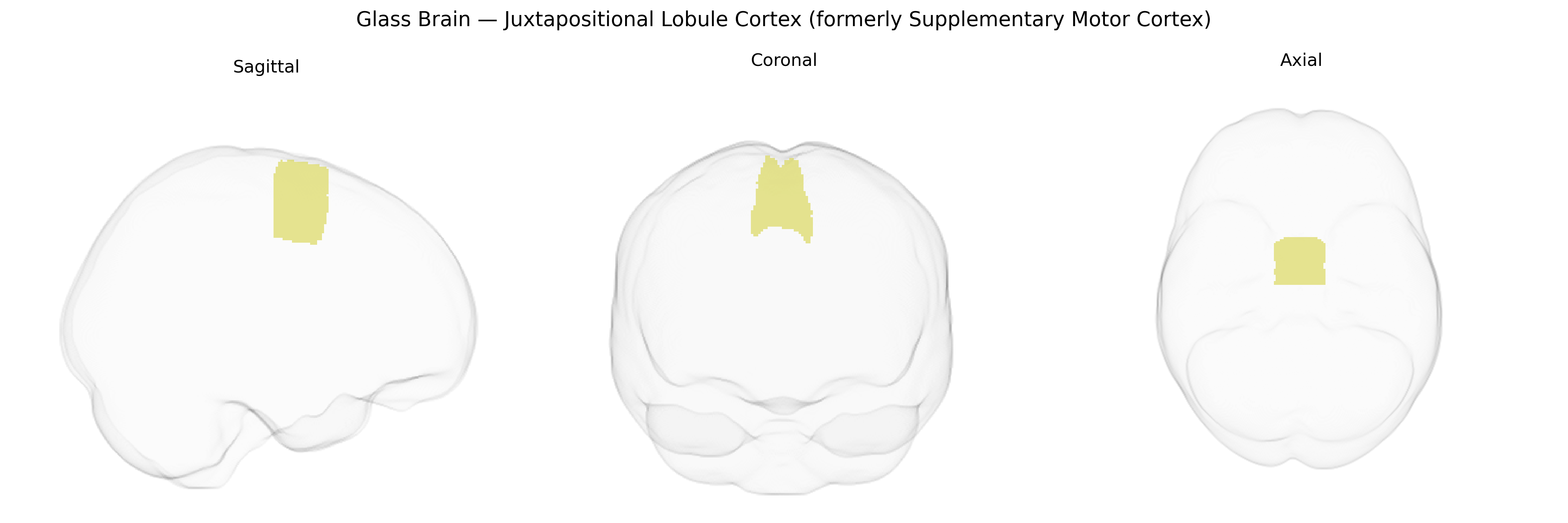 Triplanar Ghost Brain