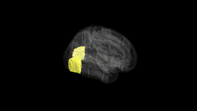 Full Brain Black