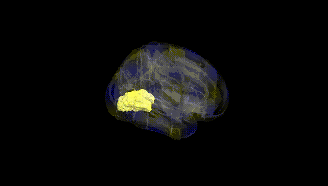 Full Brain Black