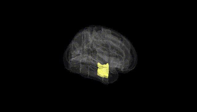 Full Brain Black