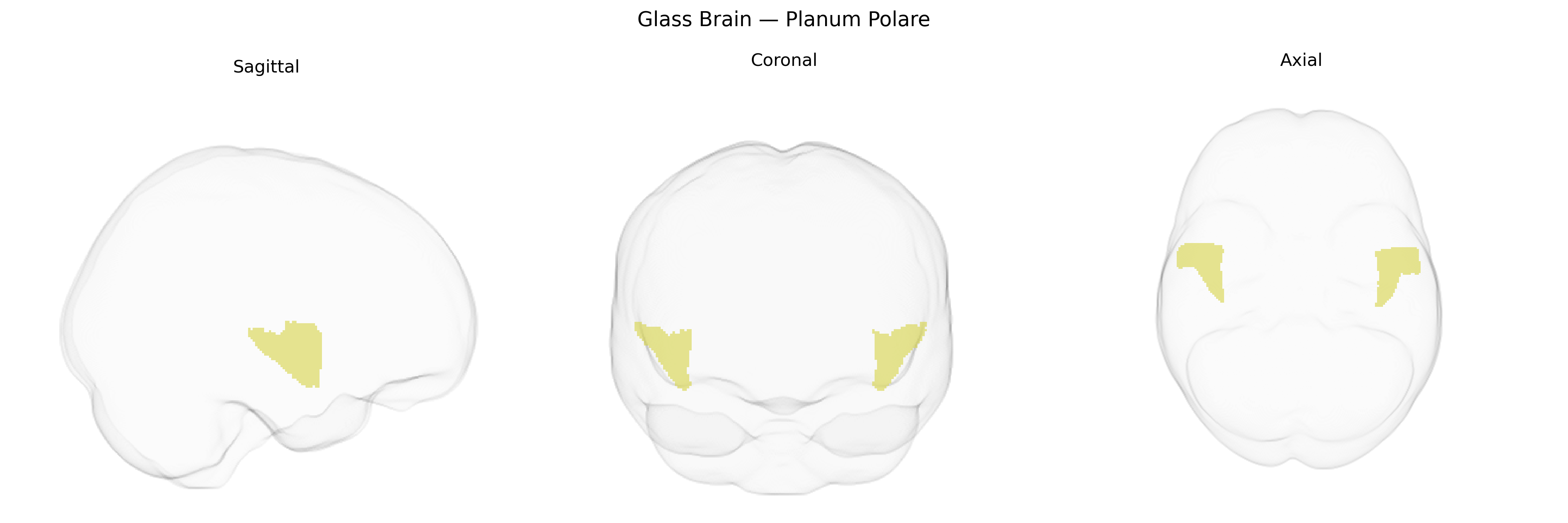 Triplanar Ghost Brain