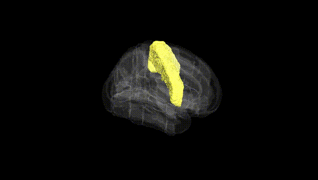 Full Brain Black