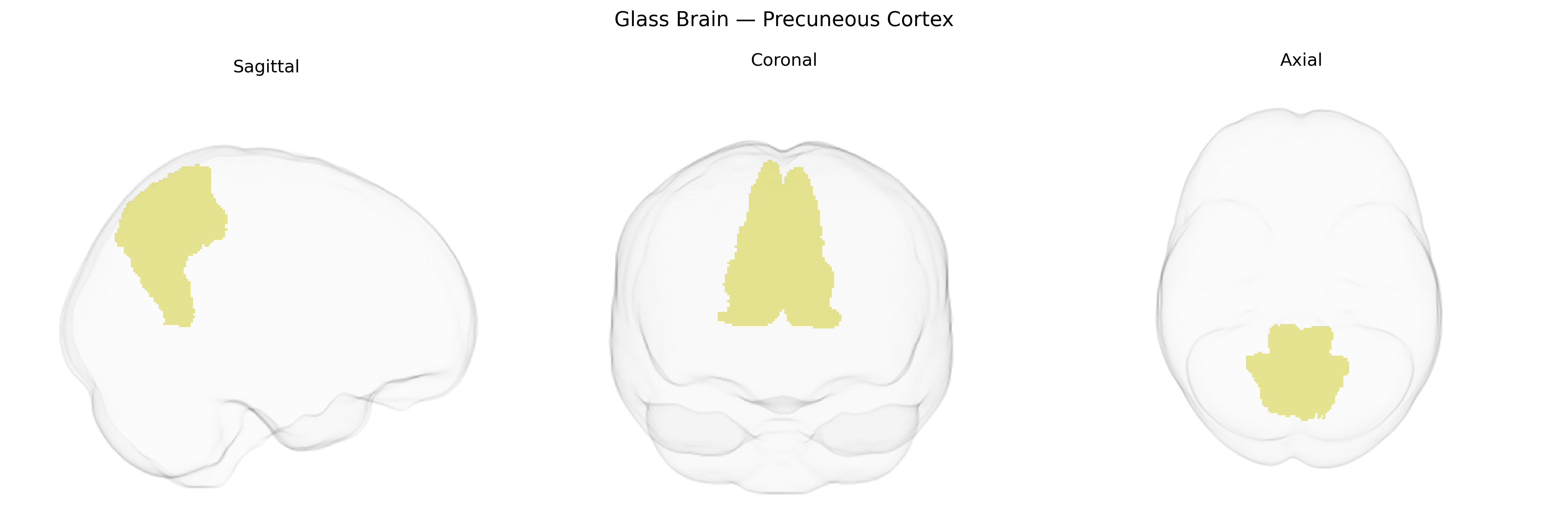 Triplanar Ghost Brain