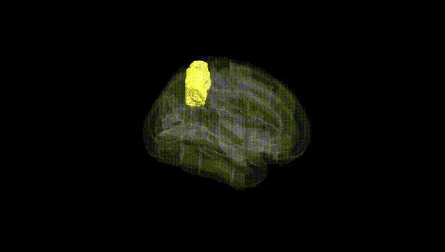 Full Brain Black