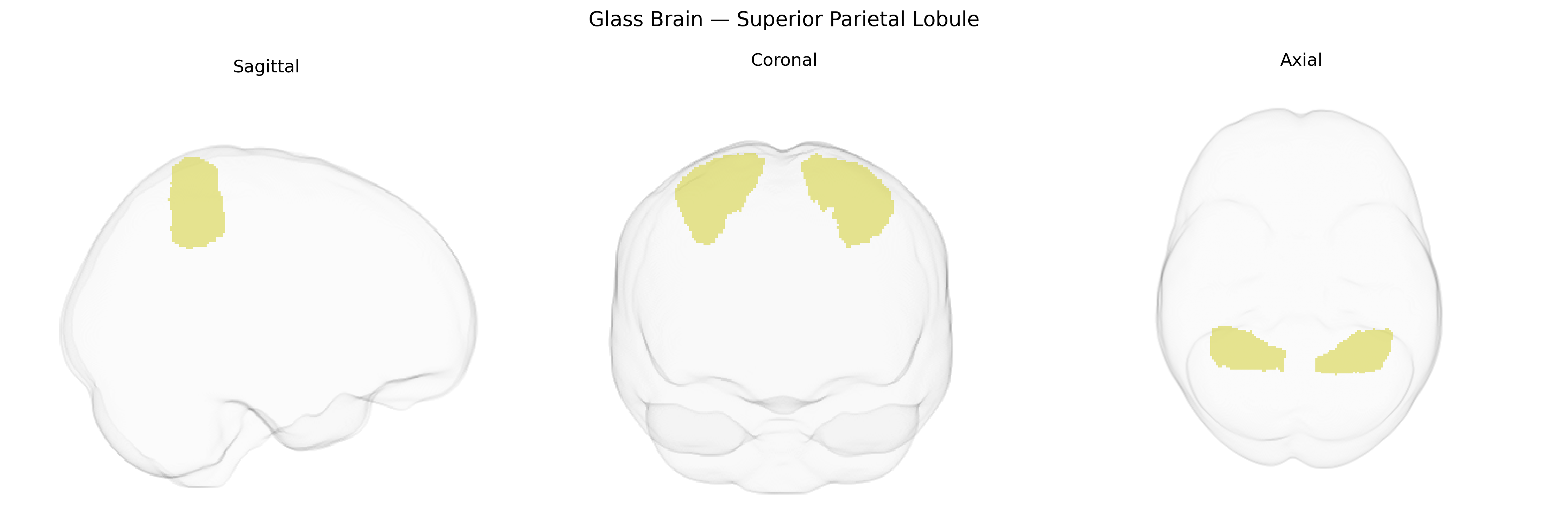 Triplanar Ghost Brain