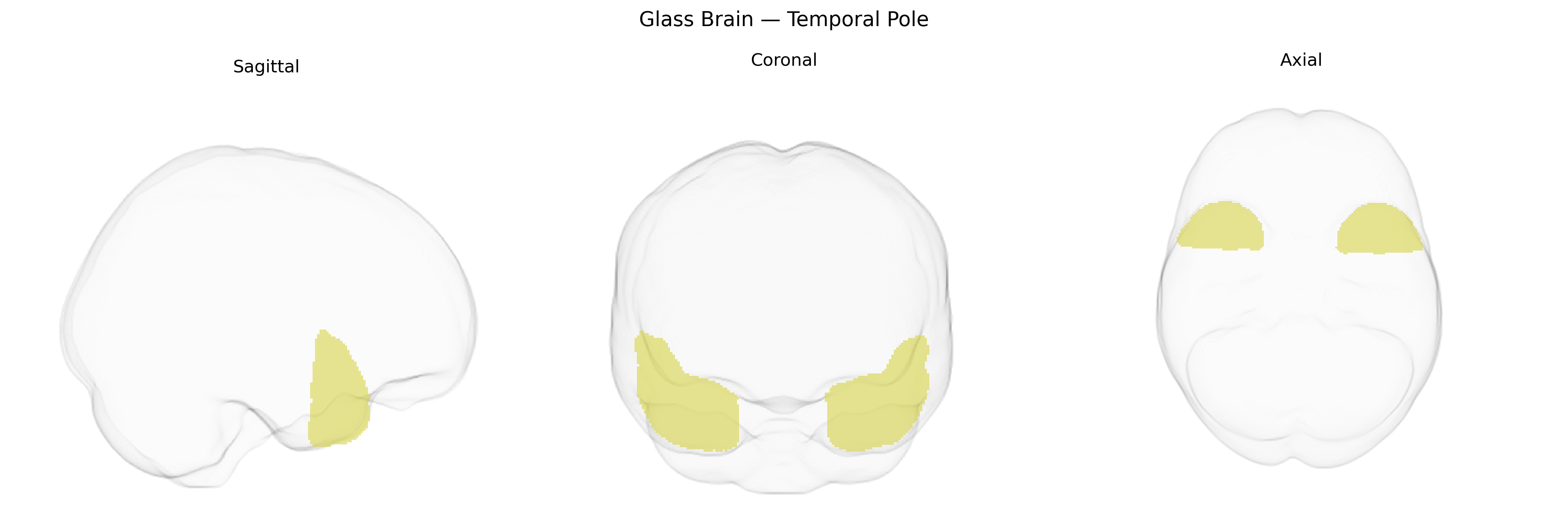 Triplanar Ghost Brain