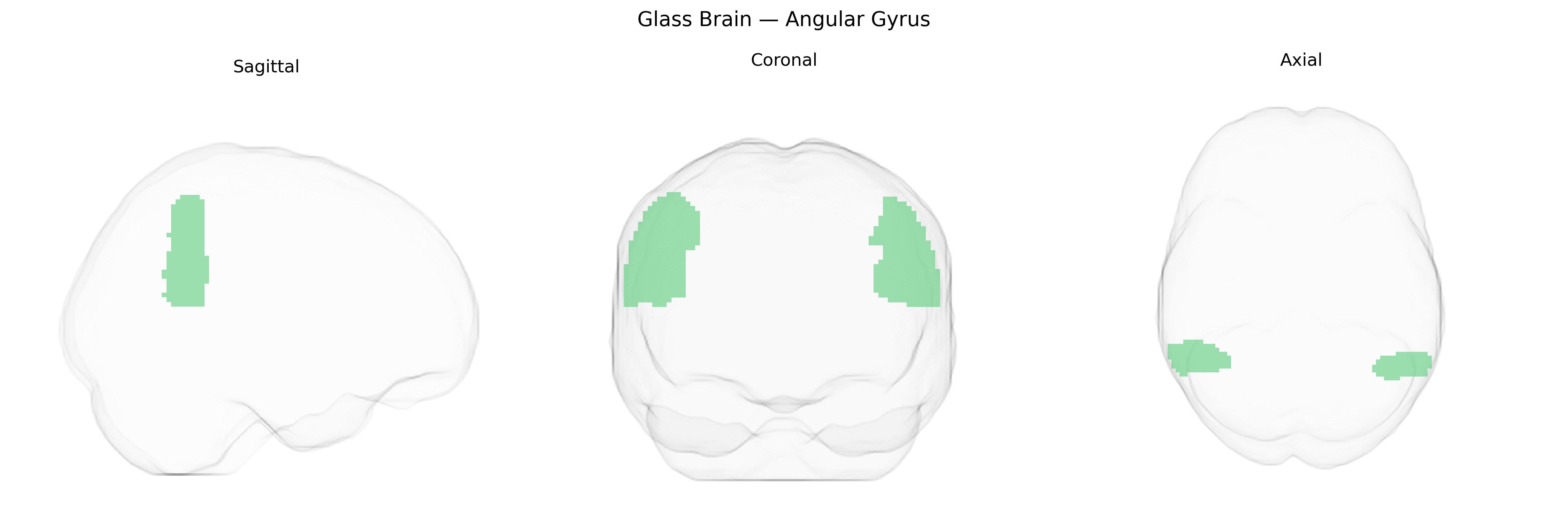 Triplanar Ghost Brain