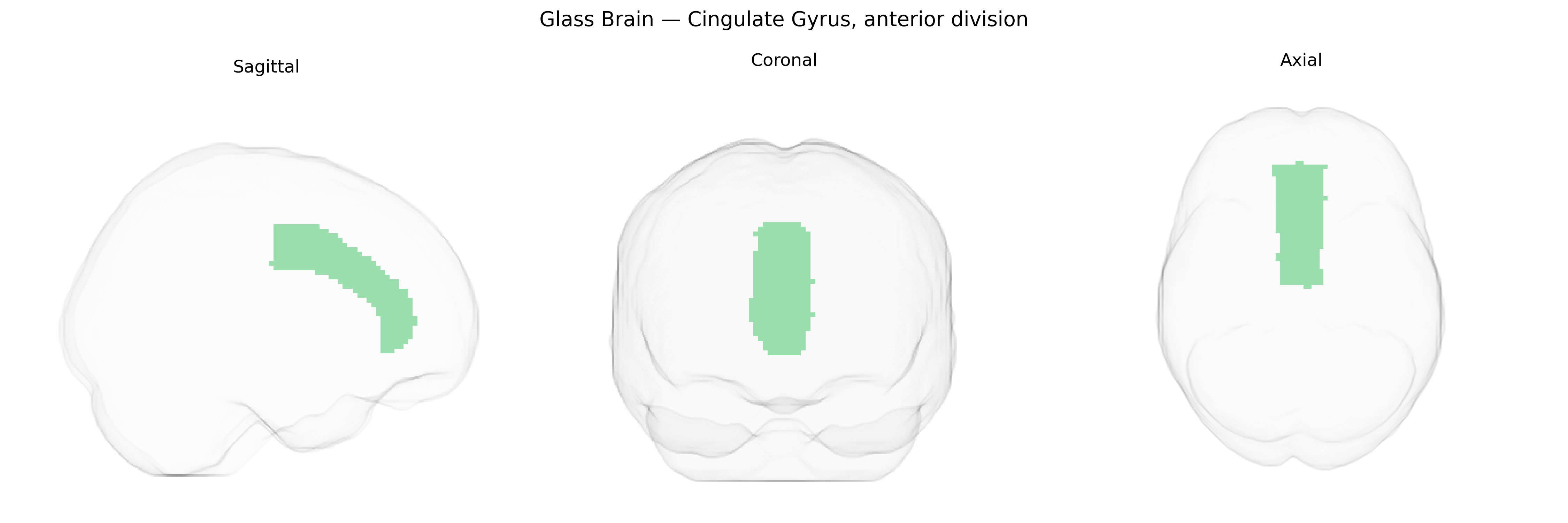 Triplanar Ghost Brain