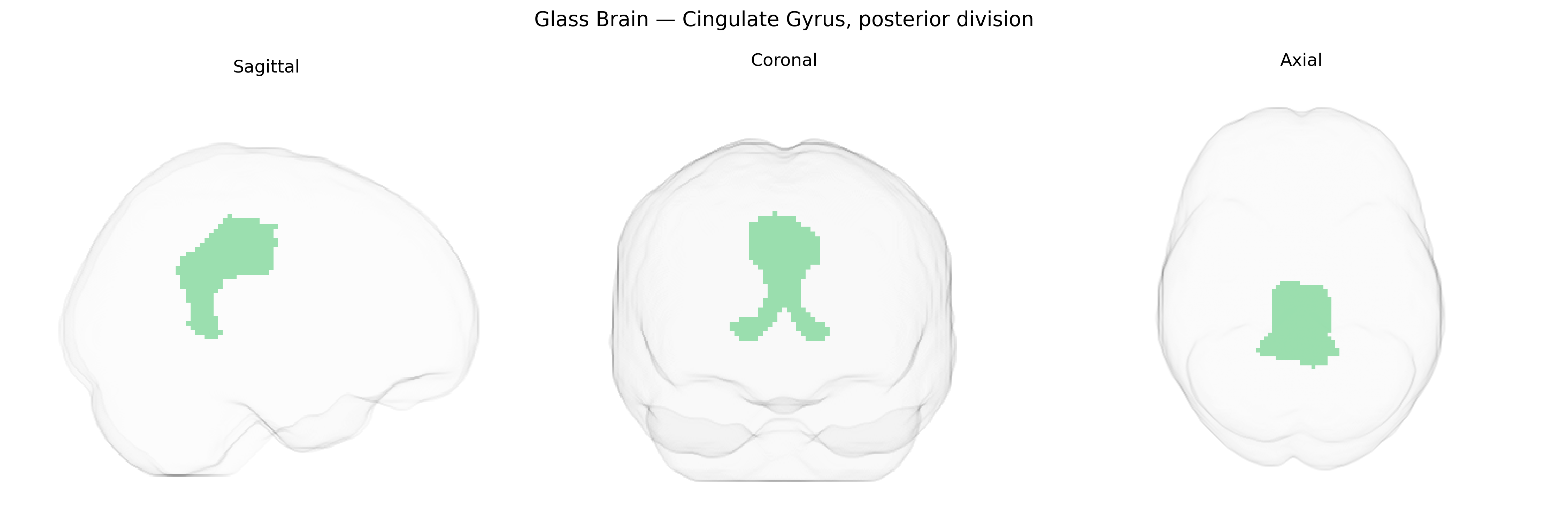 Triplanar Ghost Brain