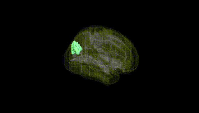 Full Brain Black