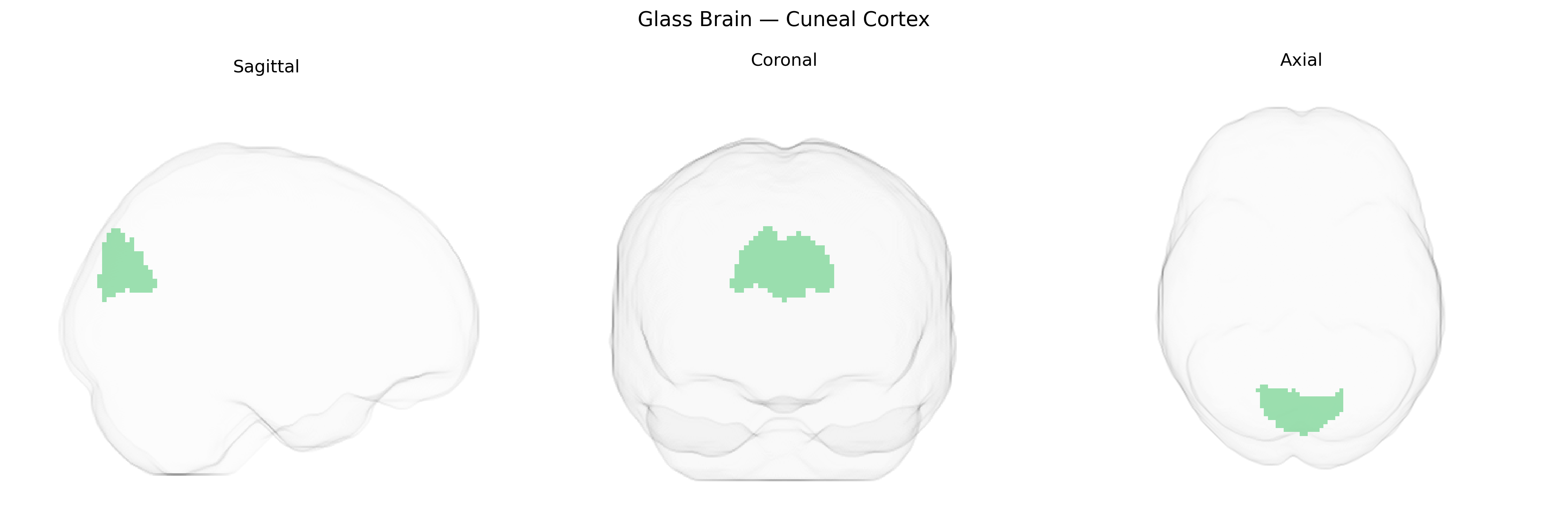 Triplanar Ghost Brain