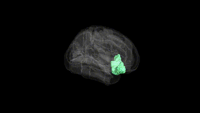 Full Brain Black