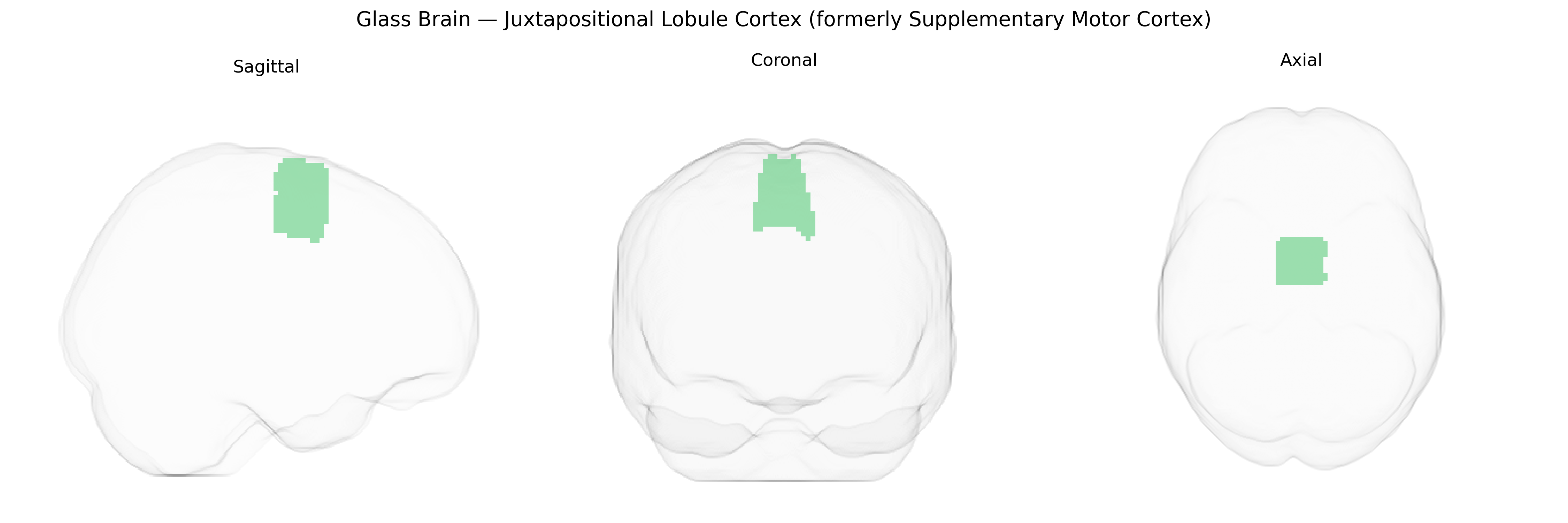 Triplanar Ghost Brain