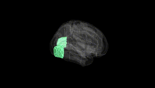 Full Brain Black