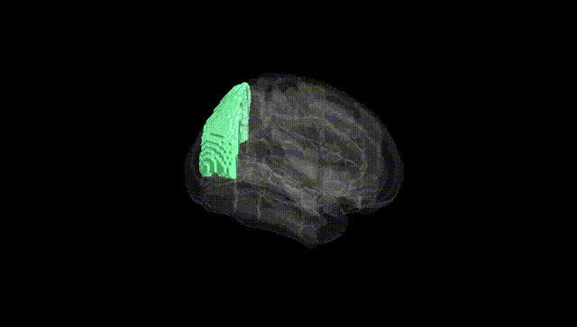 Full Brain Black