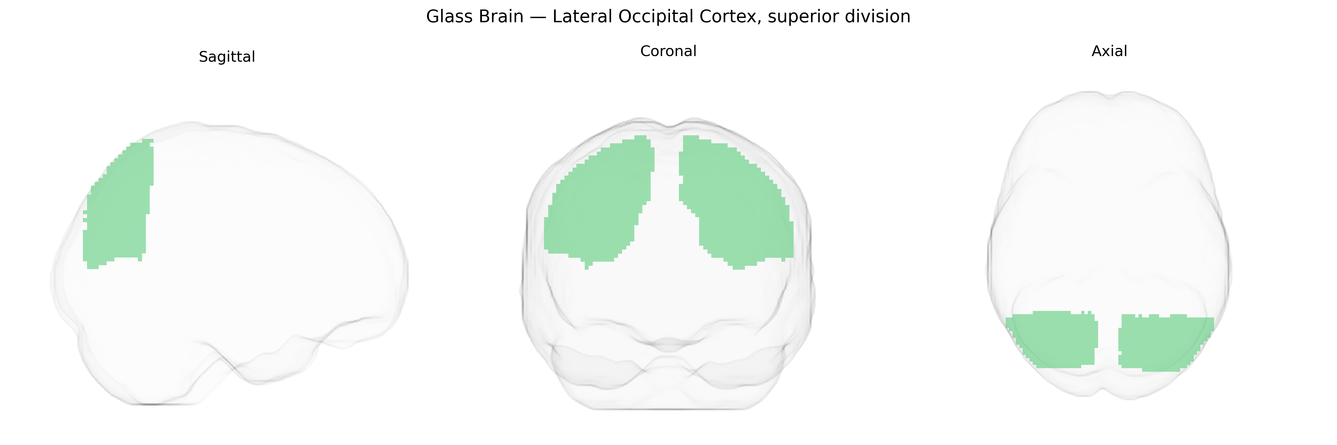 Triplanar Ghost Brain