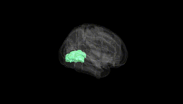 Full Brain Black