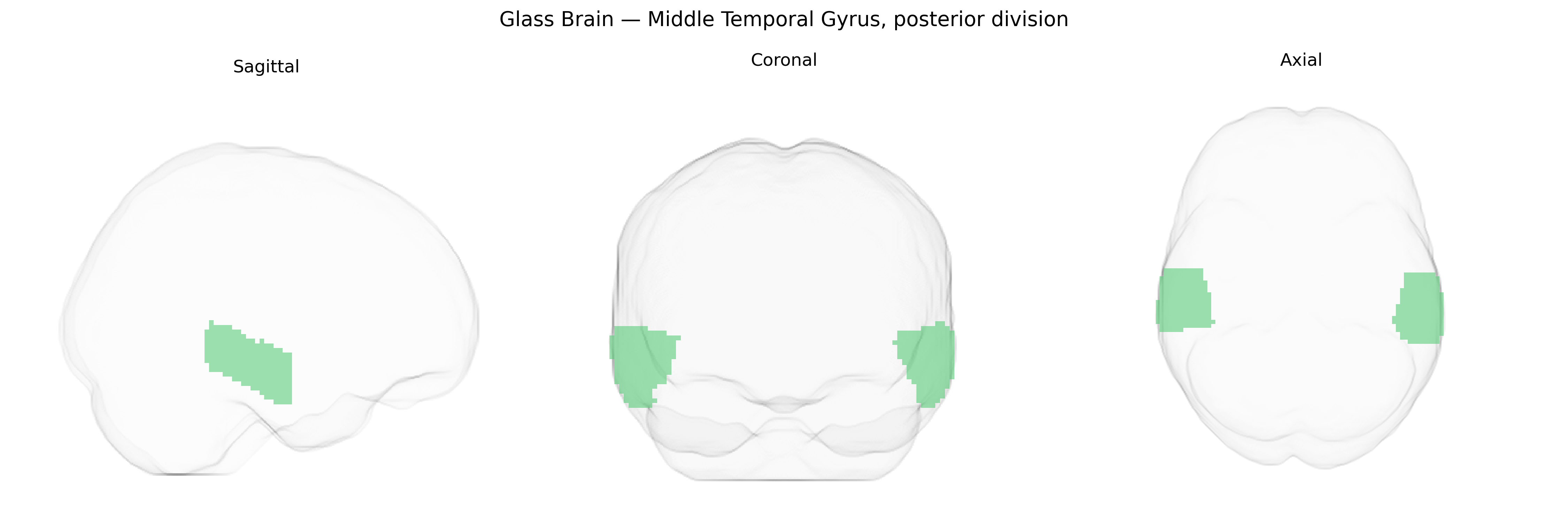 Triplanar Ghost Brain