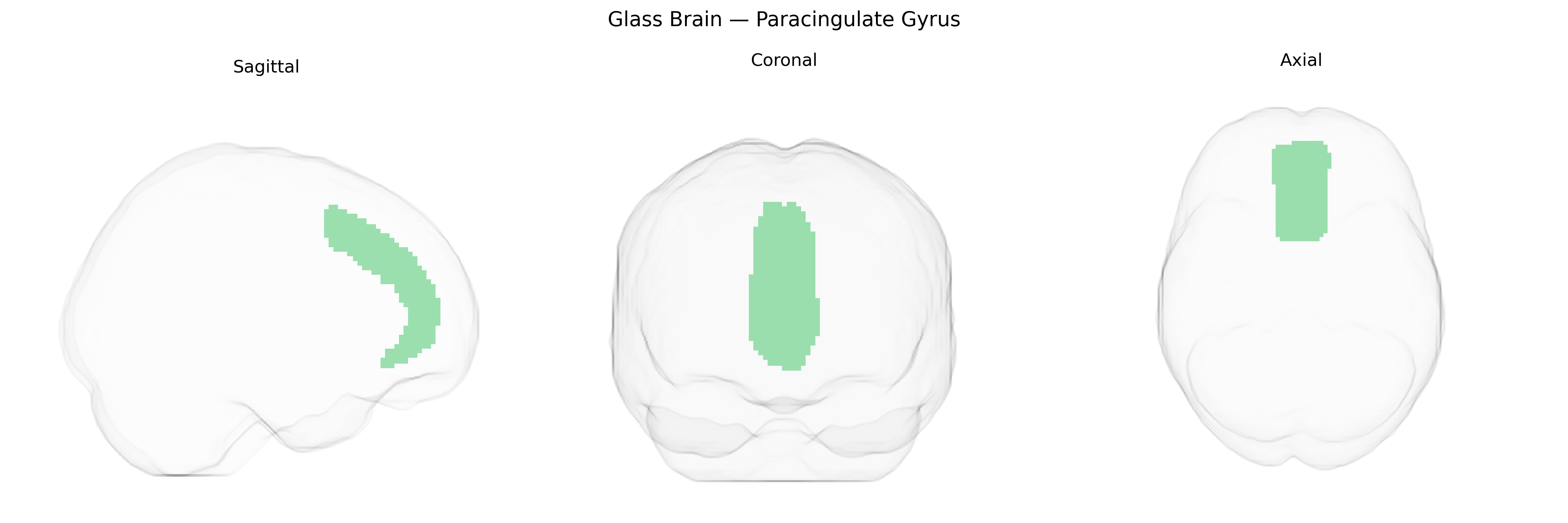 Triplanar Ghost Brain