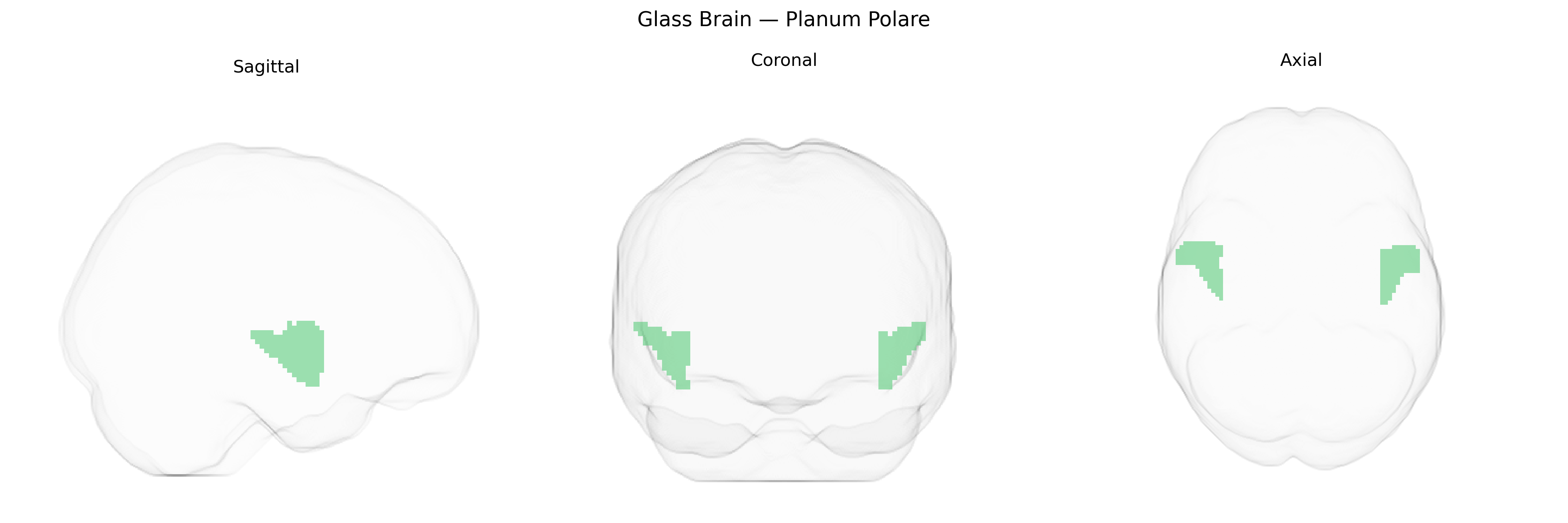 Triplanar Ghost Brain