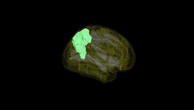 Full Brain Black