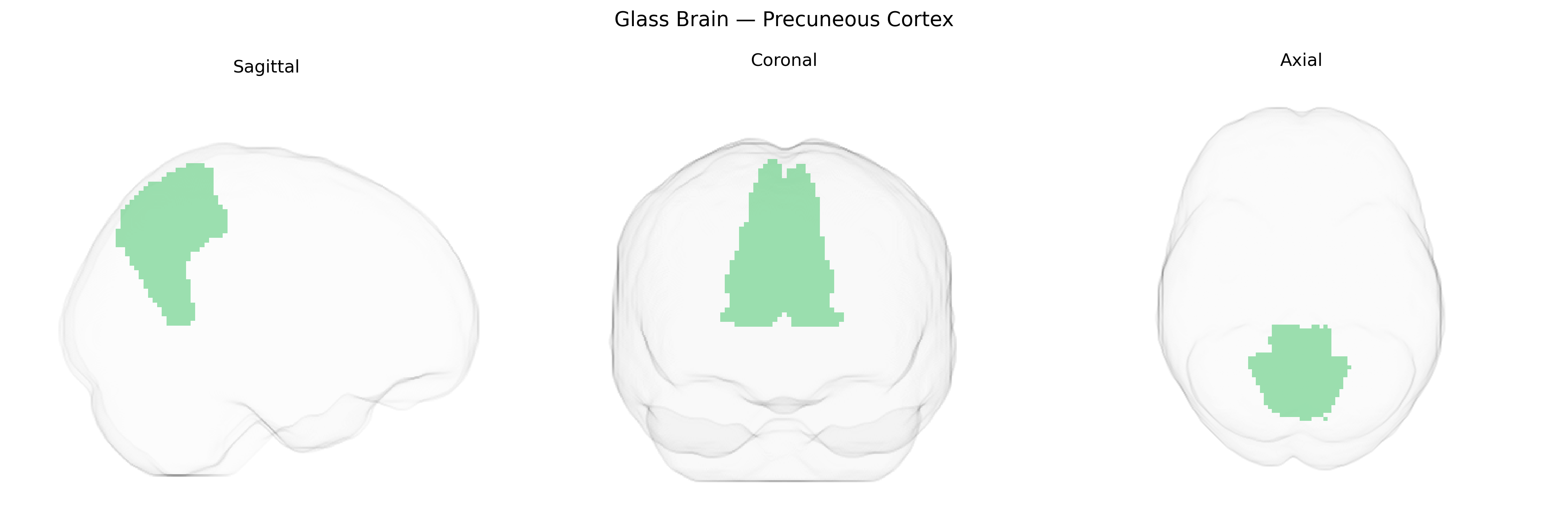 Triplanar Ghost Brain