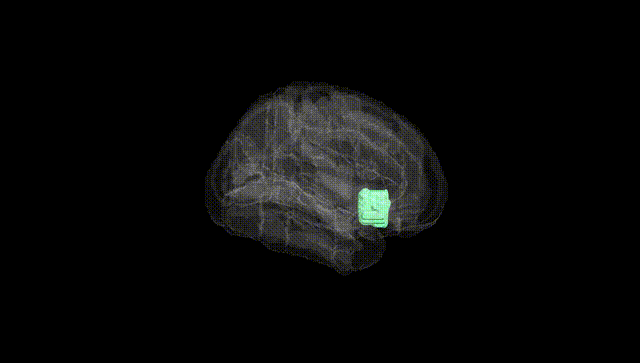 Full Brain Black