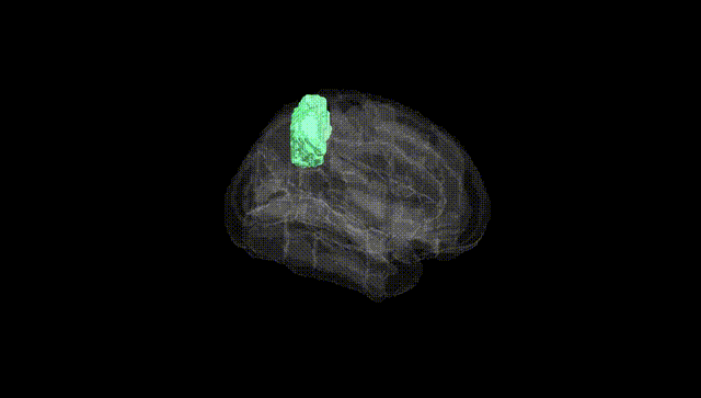 Full Brain Black